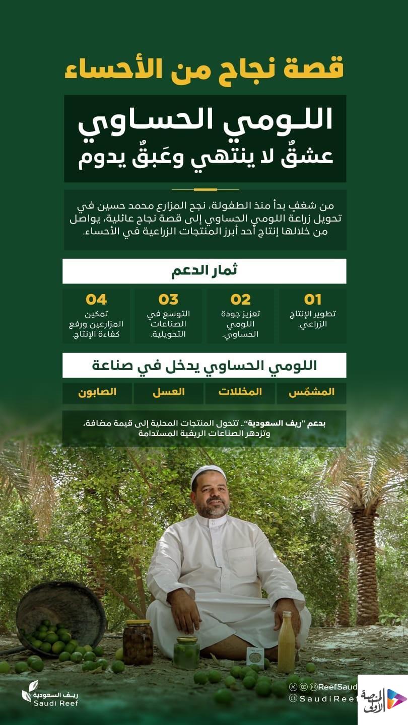 اللومي الحساوي.. جودة وإنتاج وفير يعززان القيمة الاقتصادية في الأحساء